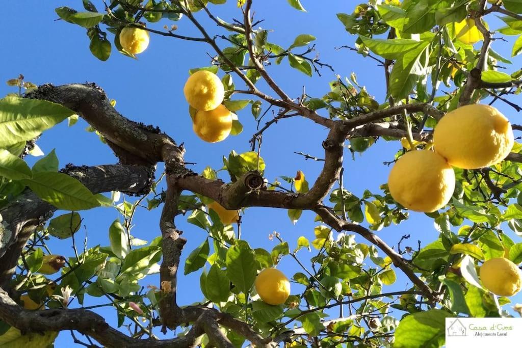 Appartamento Casa D'Avo Altura Esterno foto